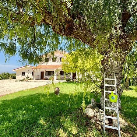 נוטו Villa Andrea San Lorenzo מראה חיצוני תמונה