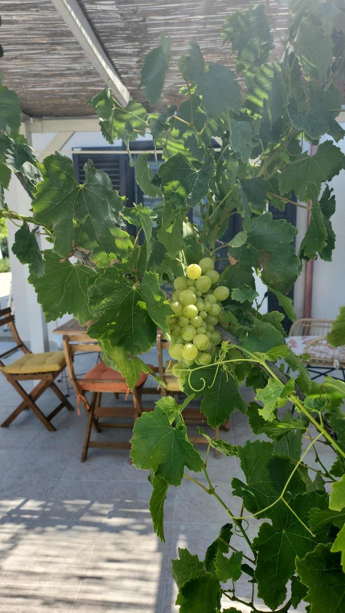 נוטו Villa Andrea San Lorenzo מראה חיצוני תמונה